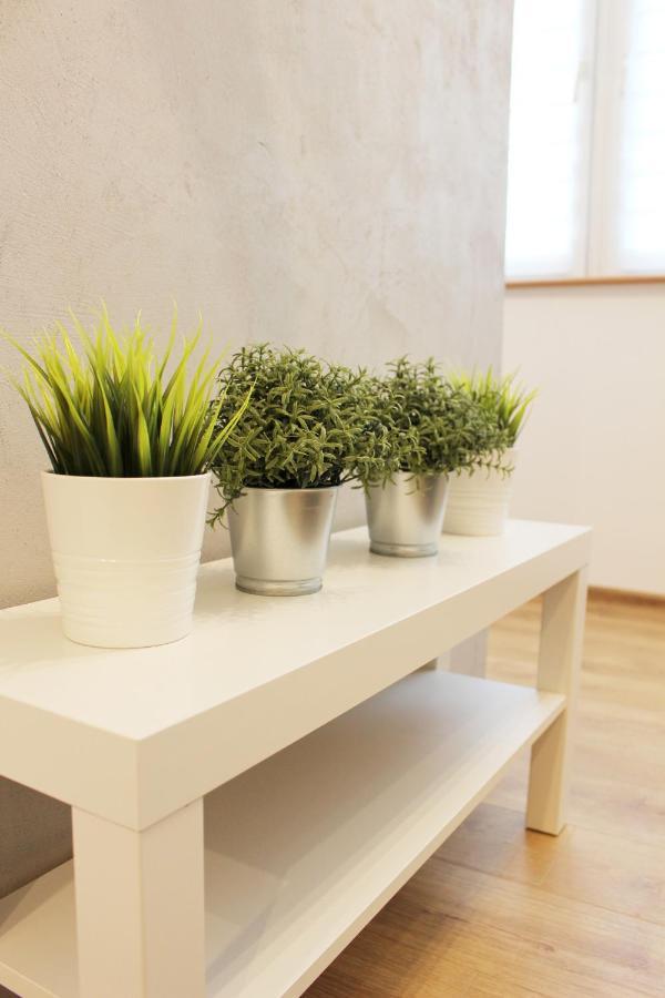 Kobalt - Wyzwolenia Apartment *